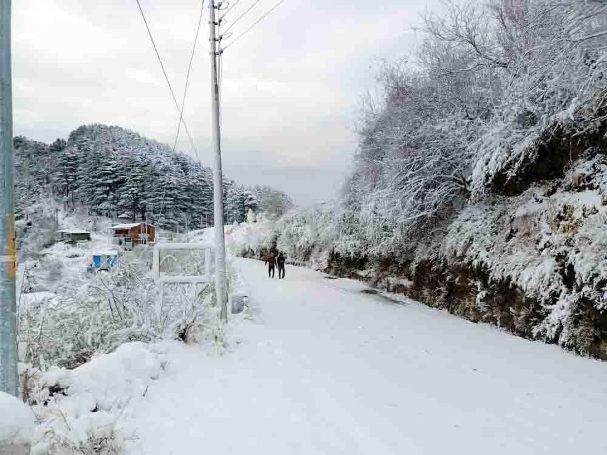 La Riqueza Kanatal #Mountain View Rooms # Near To Kodia Forest Jungle Saafari # 05 Mins From Adventure Activities Zewnętrze zdjęcie