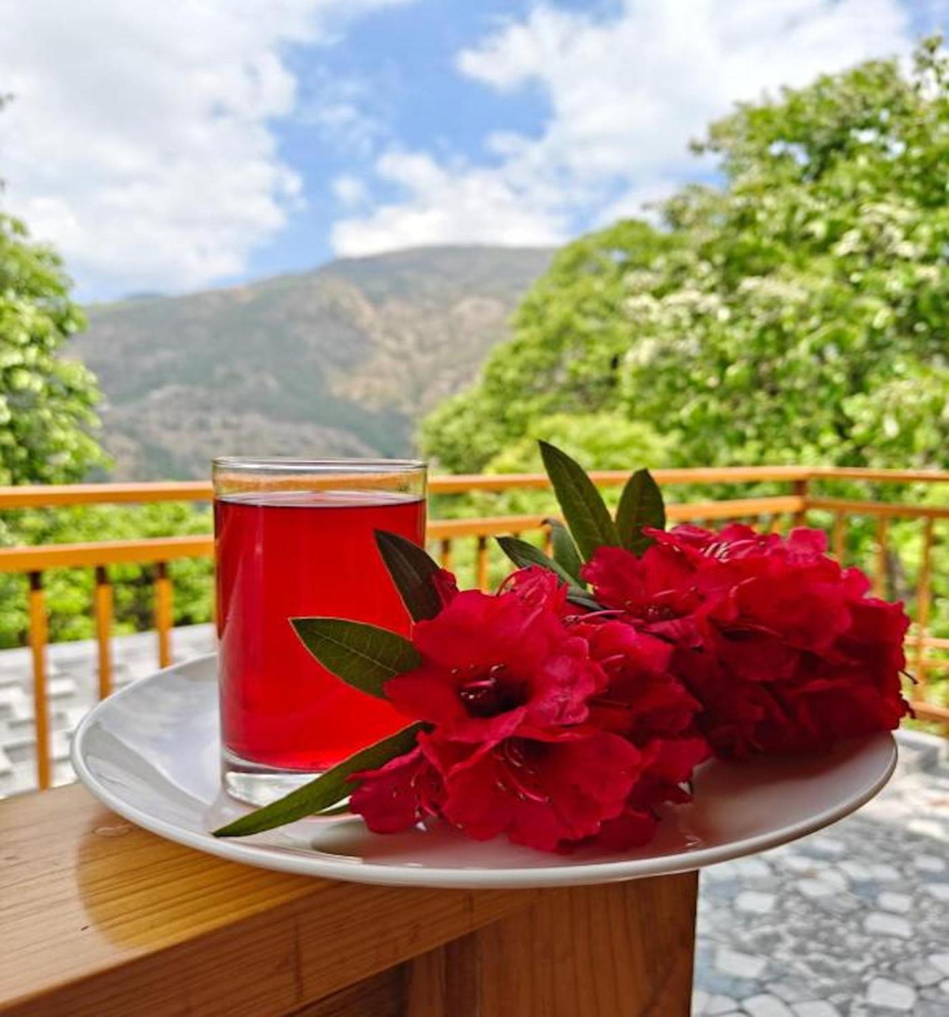 La Riqueza Kanatal #Mountain View Rooms # Near To Kodia Forest Jungle Saafari # 05 Mins From Adventure Activities Zewnętrze zdjęcie